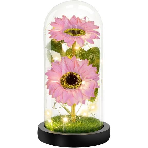 Rose in Glass Dome with Led Lights, Eternal Flower Display for Mother’S Day, Valentine’S, Birthday Gifts for Her, Anniversary, Wedding, And Home Table Decor