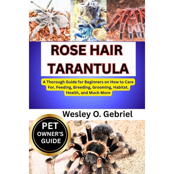 Rose Hair Tarantula: From Beginner to Pro: The Ultimate rose hair tarantula Care Companion, (Paperback)
