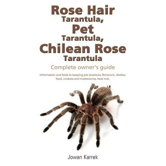 Rose Hair Tarantula, Pet Tarantula, Chilean Rose Tarantula: Complete owner's guide (Paperback)