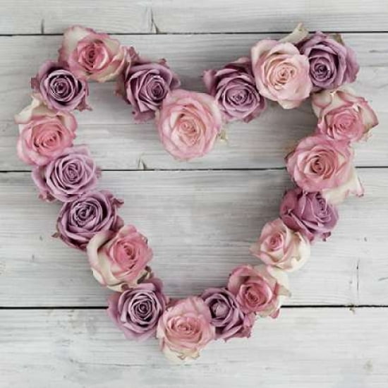 Rose Heart Canvas Art - Howard Shooter (24 x 24)