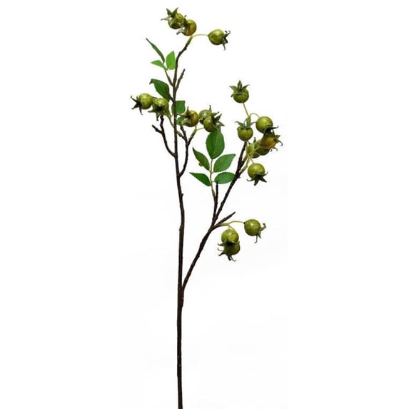 Rose Hip Spray (Set Of 4) 33.75"H Foam, Plastic