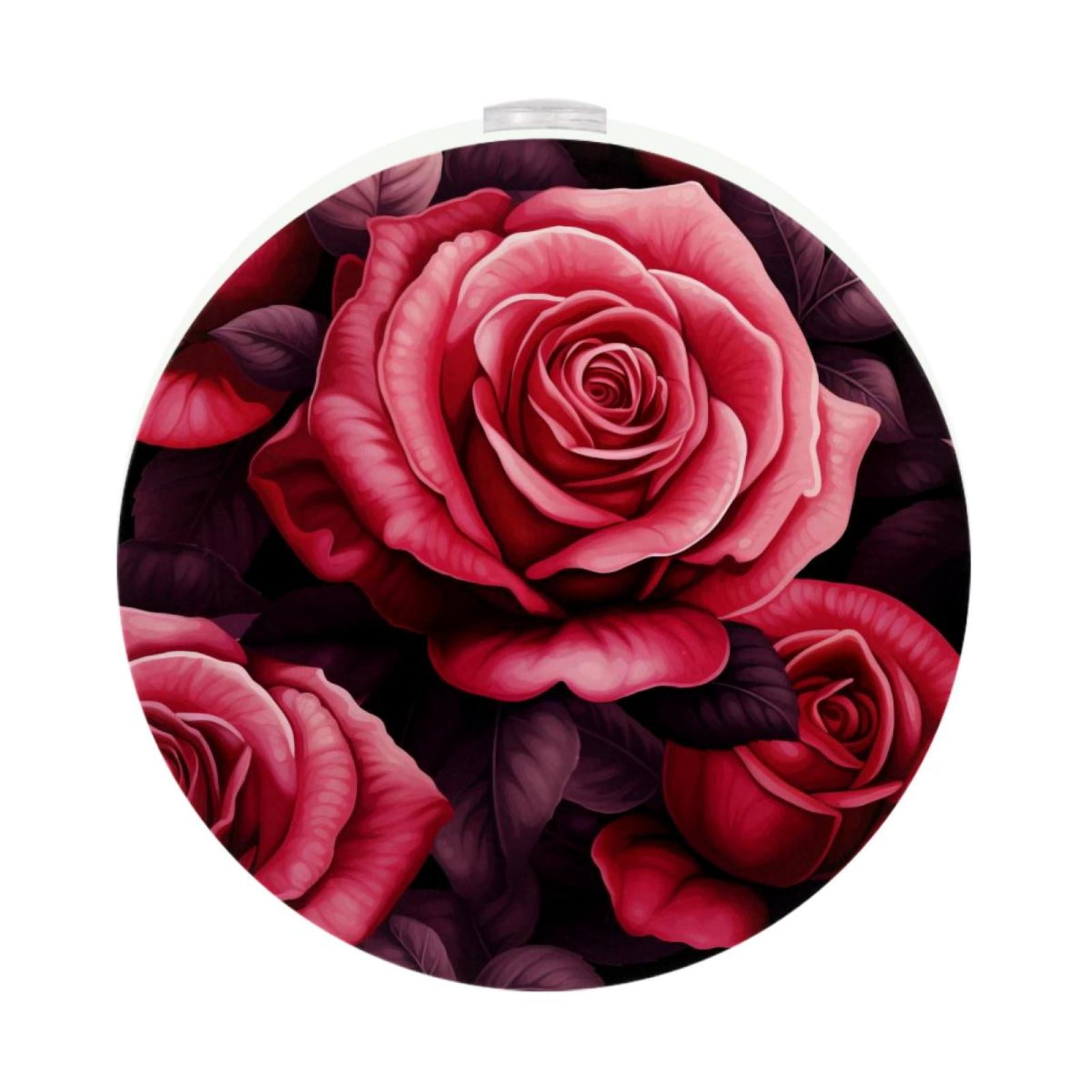 Rose LED Round Night Light-2PCS - Plug-in Smart Sensor Nightlights with ...