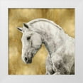 thumbnail image 1 of Rose, Martin 15x15 White Modern Wood Framed Museum Art Print Titled - White Stallion on Gold, 1 of 4