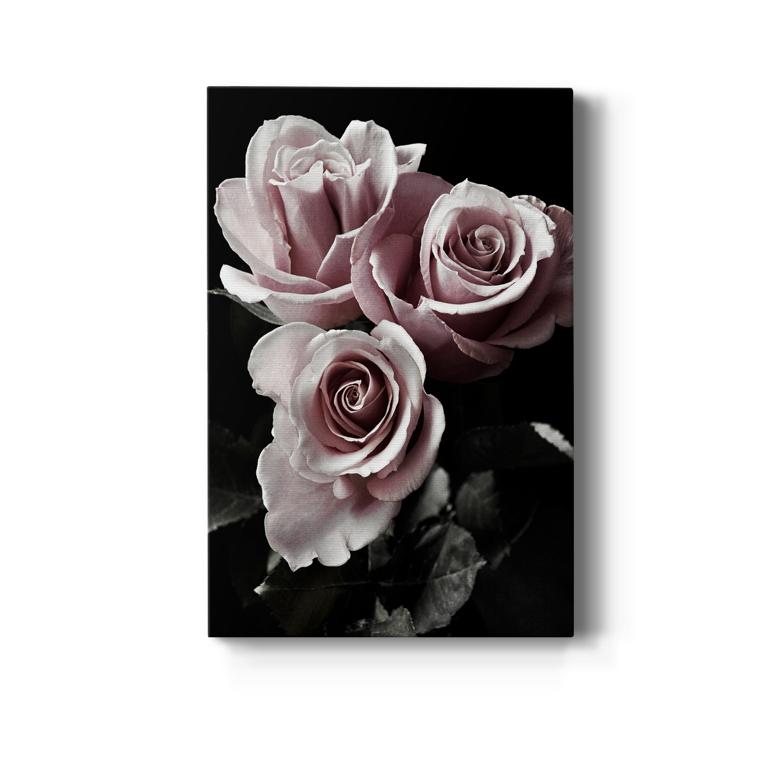 Rose Noir I Premium Gallery Wrapped Canvas - Ready to Hang - 40 x 60