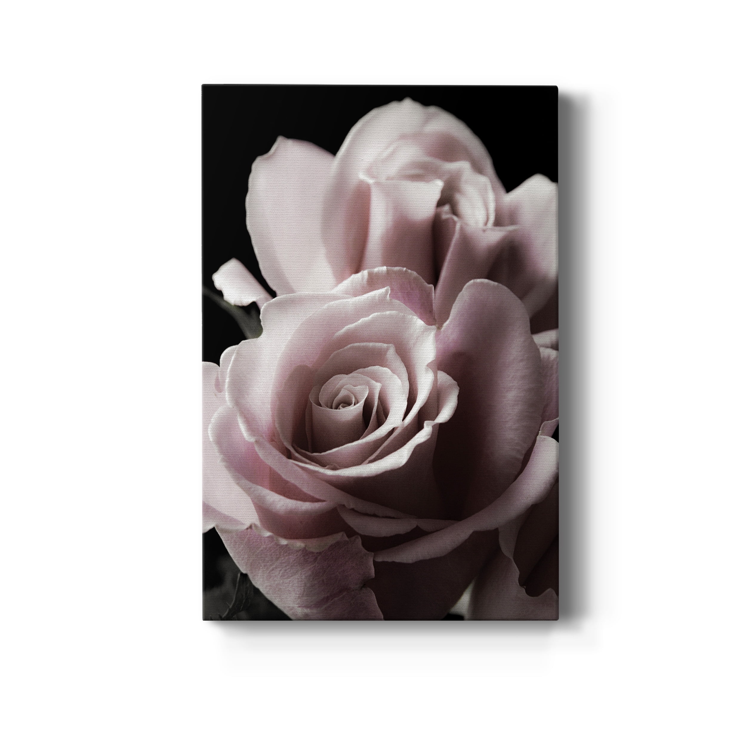 Rose Noir II Premium Gallery Wrapped Canvas - Ready to Hang - 18 x 27