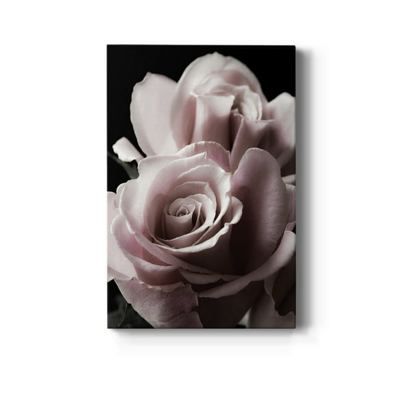 Rose Noir II Premium Gallery Wrapped Canvas - Ready to Hang - 8 x 12