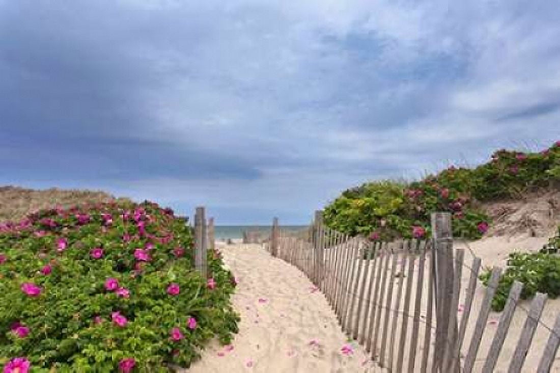 Rose Path Canvas Art - Katherine Gendreau (24 x 36)