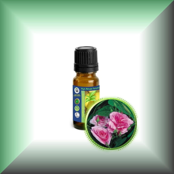 Rose Petal (Rose Otto, Rosa Damascena) Essential Oil