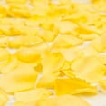 thumbnail image 1 of Rose Petals 3 Bags of Yellow Farm Direct Fresh Cut Flowers Petals by Bloomingmore, 1 of 1