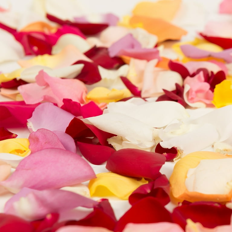 Rose Petals overnight Assorted Colors