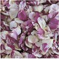 Rose Petals Swirl Preserved Freezedried Wine Rose Petals by Naturals