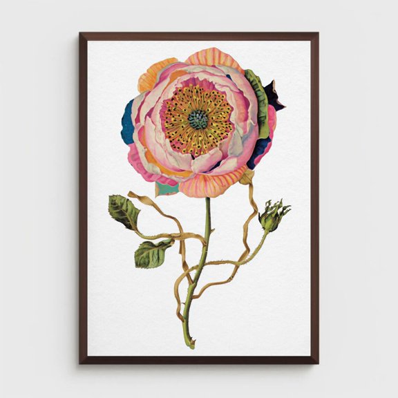 Rose Poster, Colorful June Birth Flower Wall Art