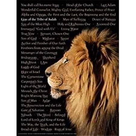 Rose Publishing 330072 Chart Names Of Christ Laminated