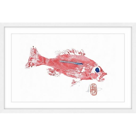 "Rose Snapper" Framed Painting Print