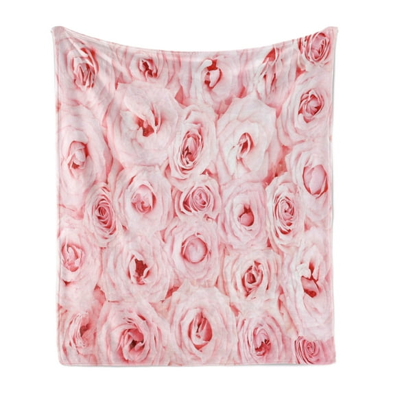 Rose Soft Flannel Fleece Throw Blanket, Fresh Garden Scenic Seasonal Yard Vegetation Flourish Anniversary Celebration, Cozy Plush for Indoor and Outdoor Use, 60" x 80", Pale Pink, by Ambesonne