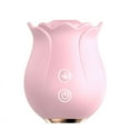 Rose Toy For Women Toy Pleasant Gifts for Women Automatic Electric