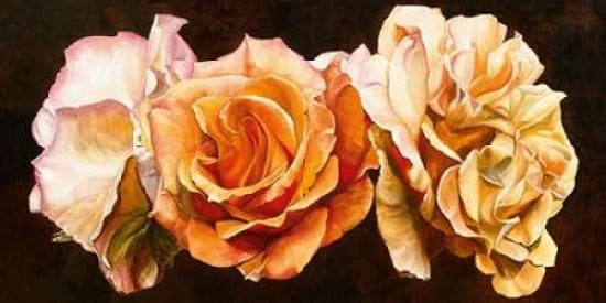 Rose Trio Canvas Art - Sarah Caswell (10 x 20)