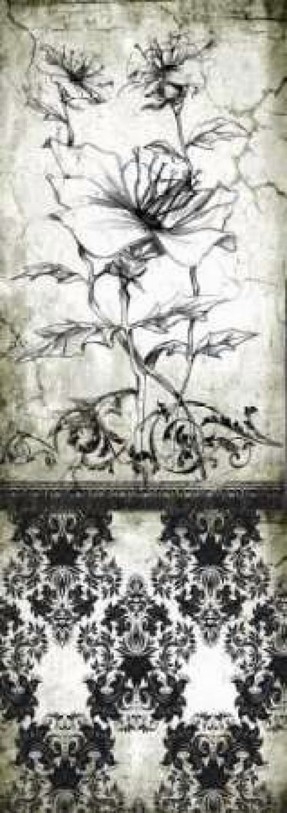 Rose Vintage II A Canvas Art - Susan P Willow (8 x 24)