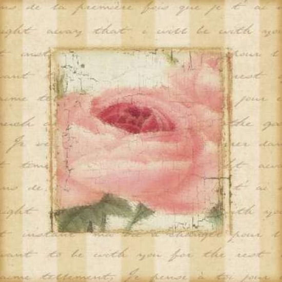 Rose and Romance I Canvas Art - Pela Design (24 x 24)