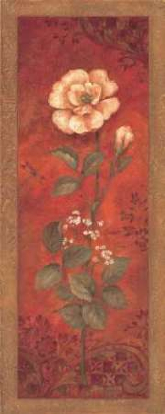 Rose with Babys Breath Canvas Art - Pamela Gladding (10 x 20)