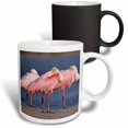 thumbnail image 1 of 3drose, Roseate Spoonbill Bird, Sanibel Island, Florida - Na02 Rnu0758 - Rolf Nussbaumer, 11oz Magic Transforming Mug, 1 of 7