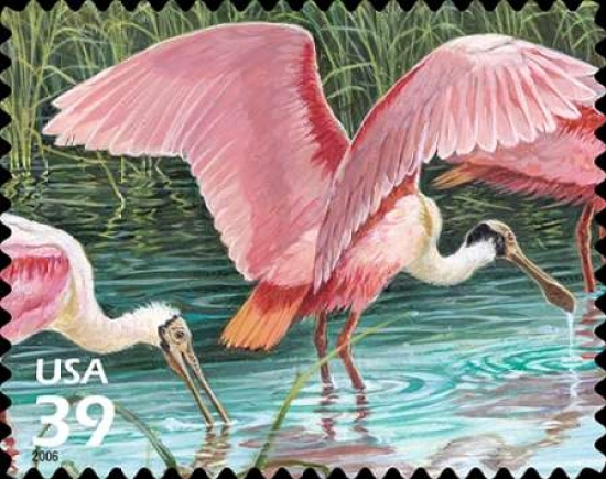 Roseate Spoonbill Canvas Art - US POSTAL SERVICE (24 x 30)