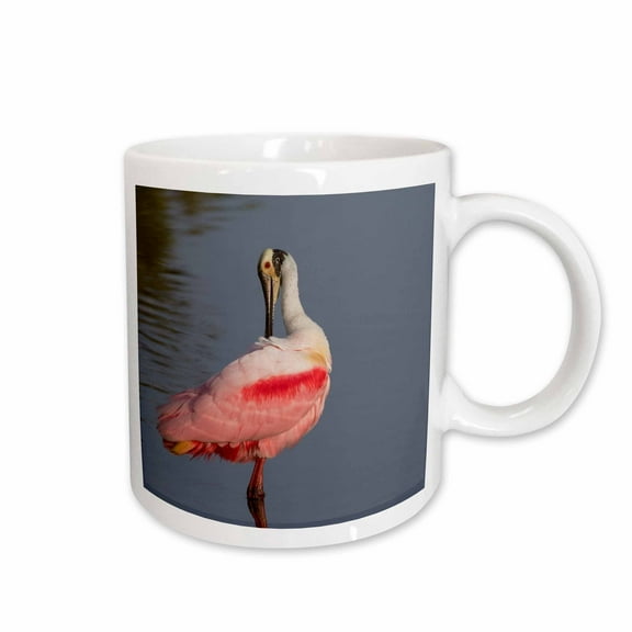 3drose, Roseate Spoonbill Preening, 11oz Mug