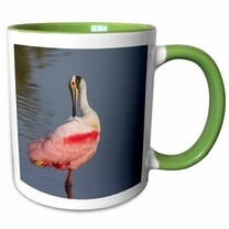 3drose, Roseate Spoonbill Preening, 11oz Two-tone Green Mug