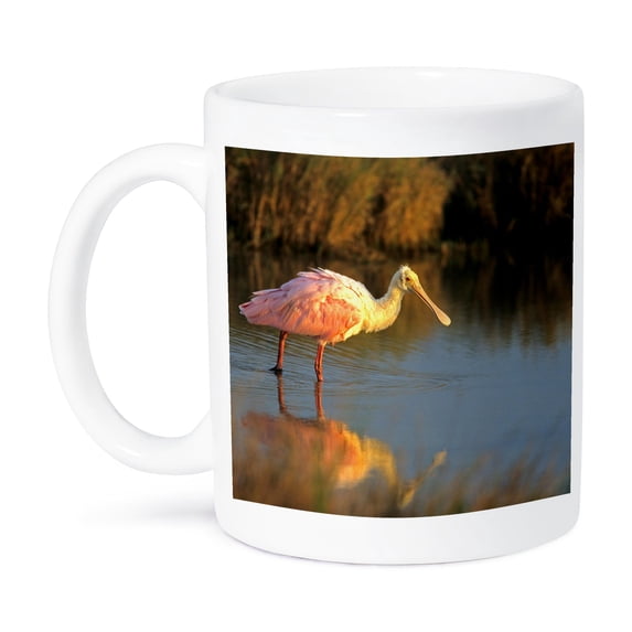 3dRose, Roseate Spoonbill, South Padre Island, Texas, 15oz Mug