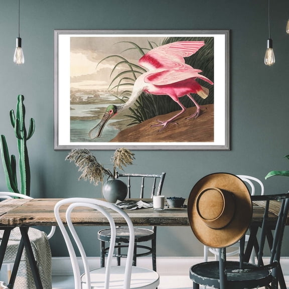 Roseate Spoonbill Vintage Art Print, Birds Of America Decor, Pink Tropical Bird, Bird Watcher Gift Wall Art, Modern Wall Decor, 24x36 UNFRAMED