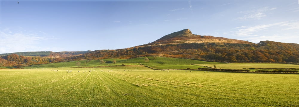 Roseberry Topping Hill North York Moors England Canvas Art - John Short Design Pics (44 x 15)