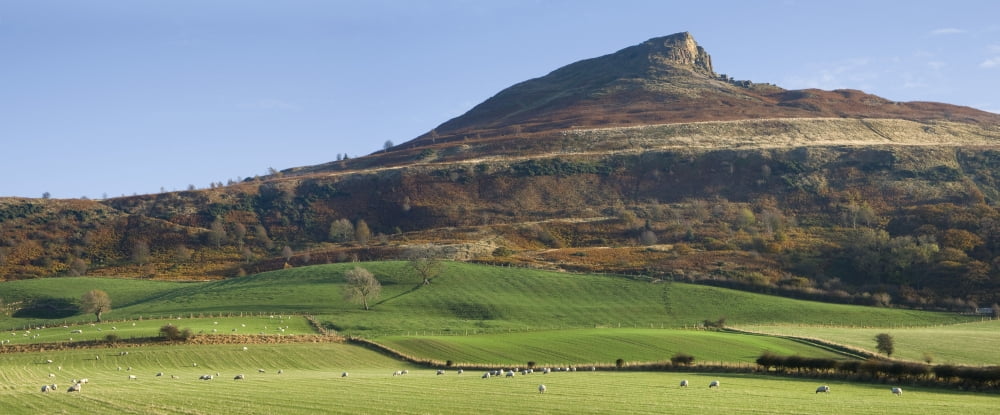 Roseberry Topping Hill Yorkshire England Canvas Art - John Short Design Pics (36 x 14)