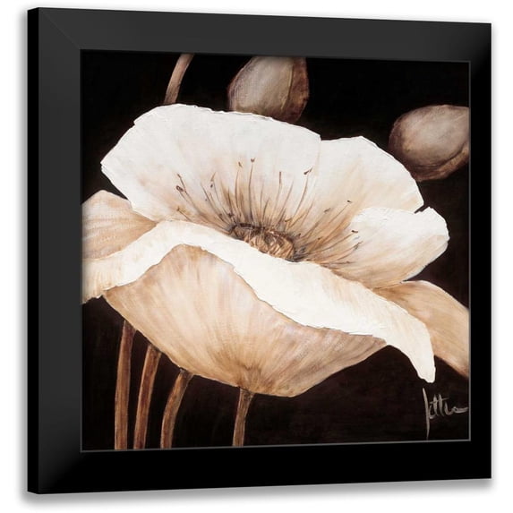 Roseboom, Jettie 20x20 Black Modern Framed Museum Art Print Titled - Amazing poppies II