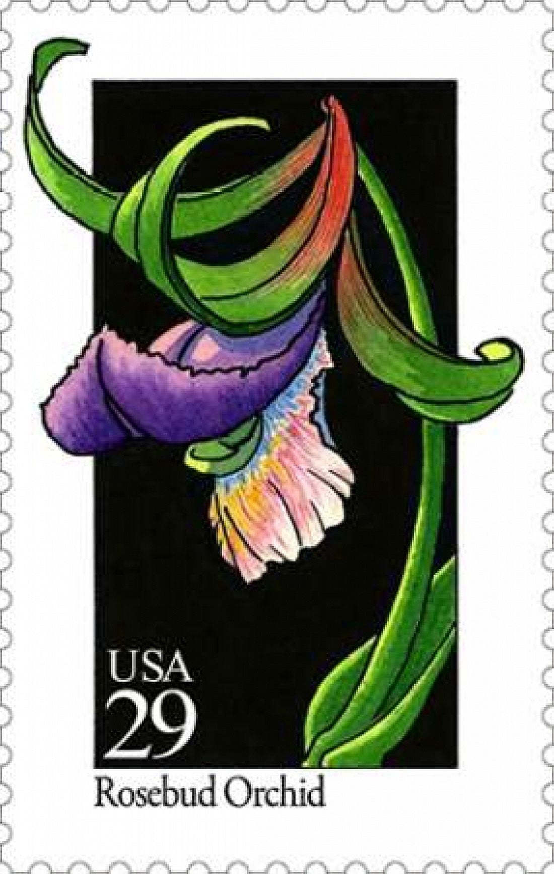Rosebud Orchid Canvas Art - US POSTAL SERVICE (12 x 18)