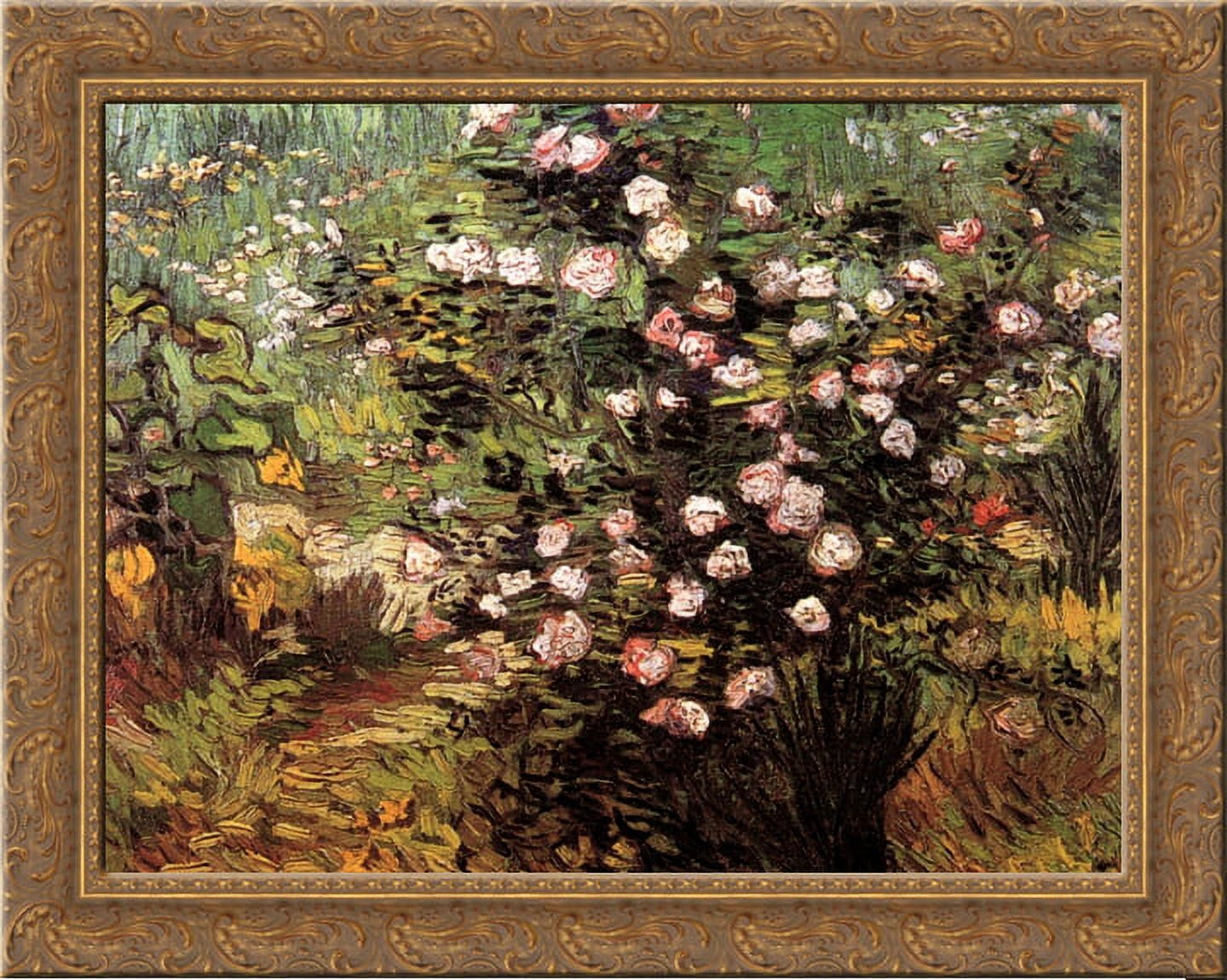 Rosebush in Blossom 24x20 Gold Ornate Wood Framed Canvas Art by Vincent ...