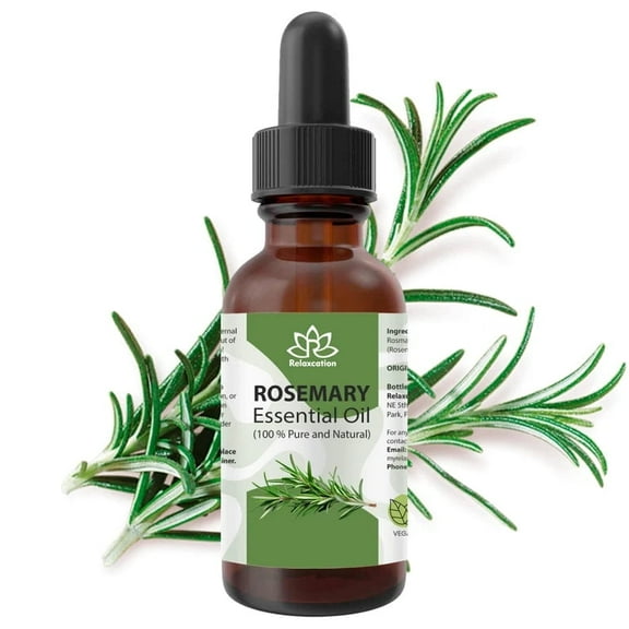 RELAXCATION Rosemary Essential Oil (Rosmarinus officinalis) – 100% Pure Steam Distilled, Aromatic Herbal Oil, 0.5 fl oz