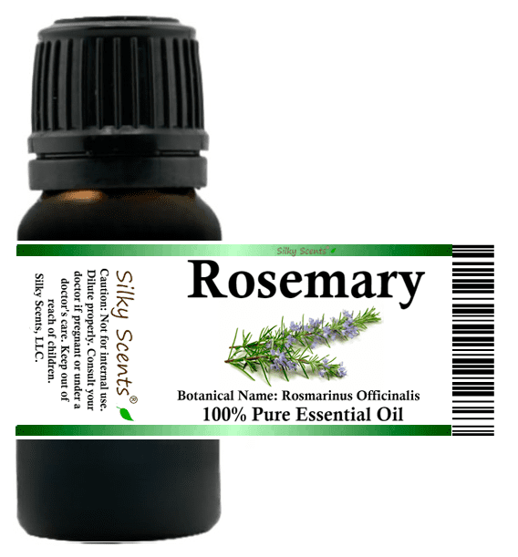 Rosemary Essential Oil - 100% Pure and Natural by Silky Scents