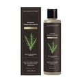 thumbnail image 1 of Rosemary Keratin Removal Shampoo 114ml – Gentle Deep Cleansing Hair Wash, Removes Keratin Buildup & Residue, Softens Hair, Lightweight Non-Greasy Scent(Multicolor1pc), 1 of 9