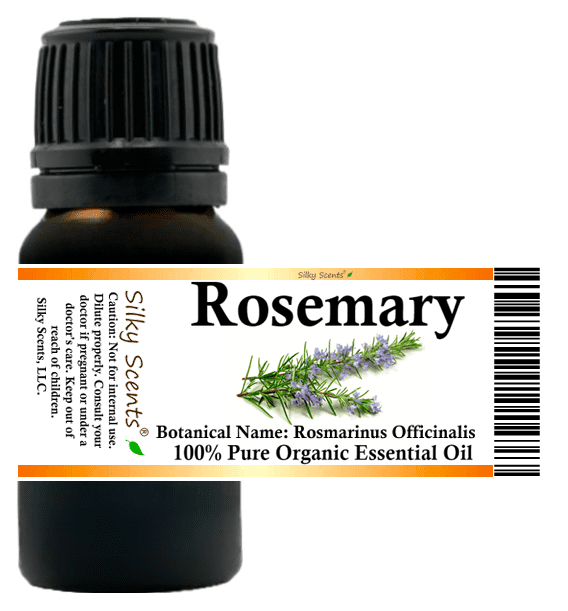 Rosemary Organic Essential Oil - 100% Pure and Natural by Silky Scents