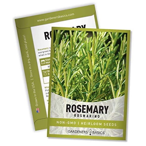 Rosemary Seeds for Planting - It is A Great Heirloom, Non-GMO Herb Variety- Great for Indoor and Outdoor Gardening by Gardeners Basics