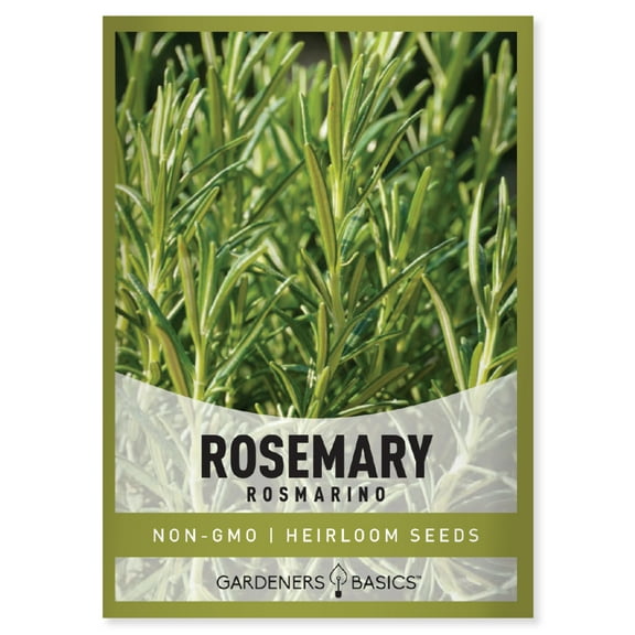 Rosemary Seeds