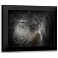 thumbnail image 1 of Rosenblatt, Ronen 14x12 Black Modern Framed Museum Art Print Titled - Hair With Dust, 1 of 5