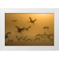 thumbnail image 1 of Rosenblatt, Ronen 18x13 White Modern Wood Framed Museum Art Print Titled - Sunrise With Cranes, 1 of 4