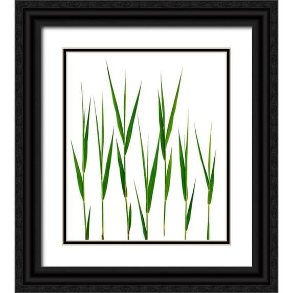 Rosenthal, Barry 12x13 Black Ornate Wood Framed with Double Matting Museum Art Print Titled - Grass Hillsdale
