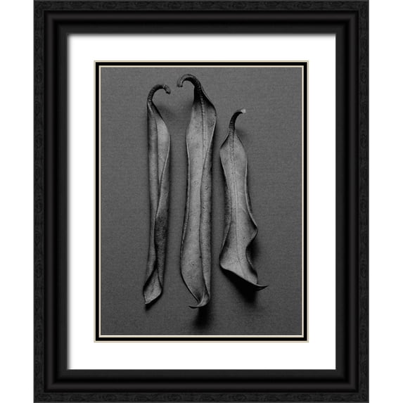 Rosenthal, Barry 12x14 Black Ornate Wood Framed with Double Matting Museum Art Print Titled - Mountain Leaves 1