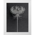 thumbnail image 1 of Rosenthal, Barry 12x14 White Modern Wood Framed Museum Art Print Titled - Queen Anne Lace, 1 of 4