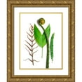 thumbnail image 1 of Rosenthal, Barry 19x24 Gold Ornate Wood Framed with Double Matting Museum Art Print Titled - Ferns And Palms, 1 of 4