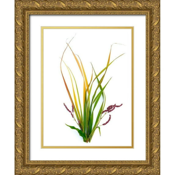 Rosenthal, Barry 19x24 Gold Ornate Wood Framed with Double Matting Museum Art Print Titled - Smart Weed