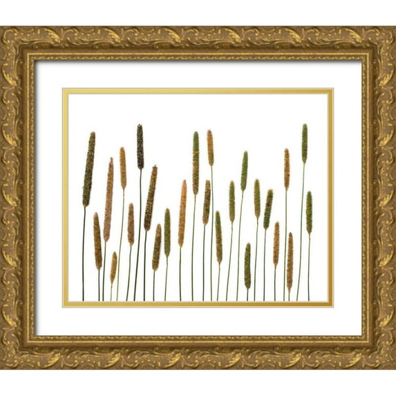 Rosenthal, Barry 24x20 Gold Ornate Wood Framed with Double Matting Museum Art Print Titled - Timothy