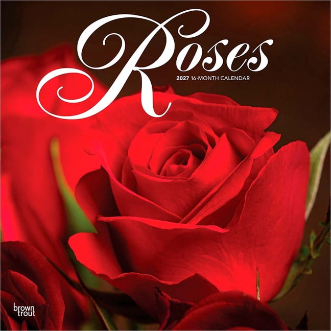 Roses 2027 12 X 24 Inch (Hanging) Monthly Square Wall Calendar Plastic-Free, (Paperback)